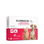 Clindacin-10 Tabletas
