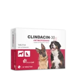 Clindacin-30 Tabletas