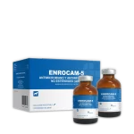 Enrocam-5 Inyectable