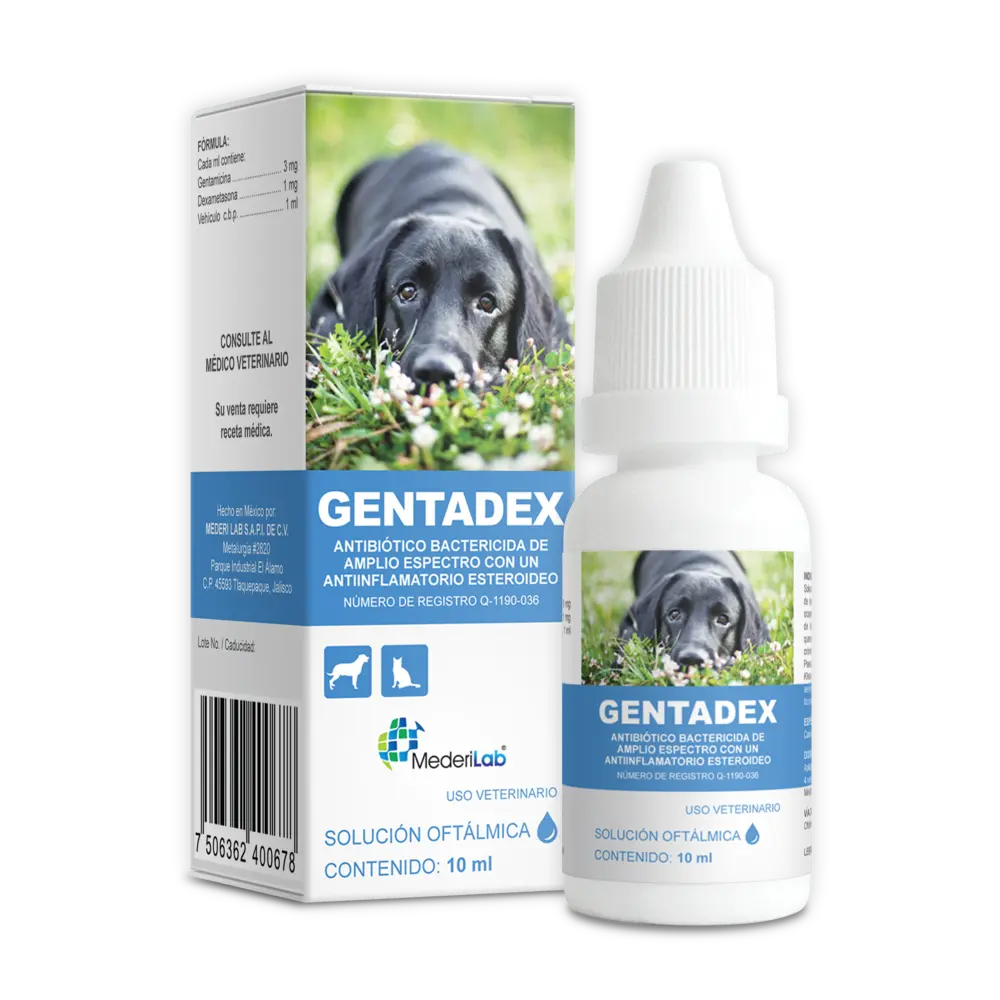 10077-1.webp Gentadex Solución Oftálmica - Image 1