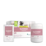 Glutamina Oral